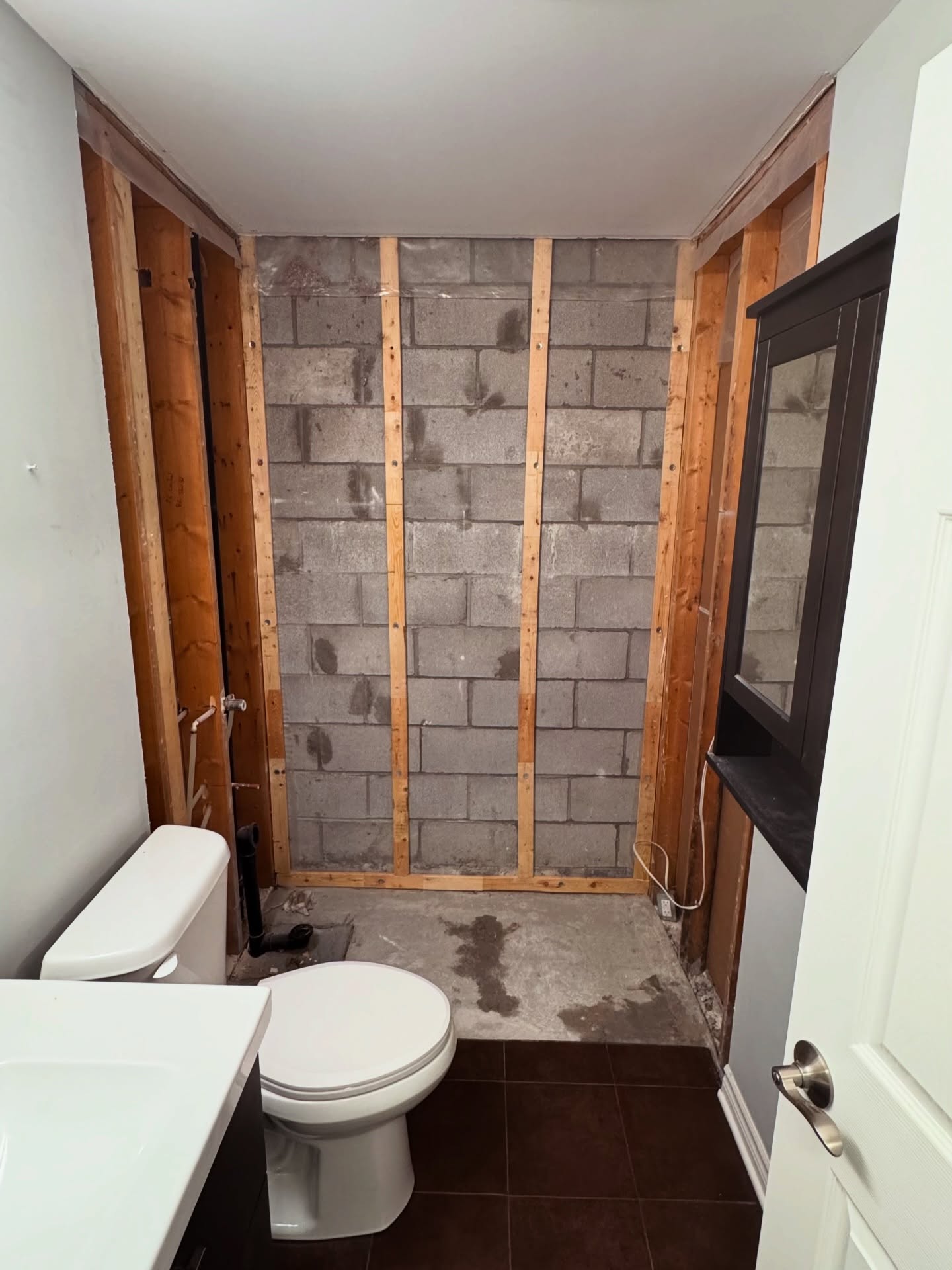 Bathroom renovation showing updated electrical and lighting fixtures - Quality home improvements